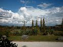 New_Zealand (19)